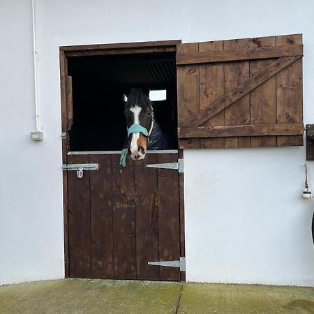Toddys Hideaway Apartment Cavan Bagian luar foto
