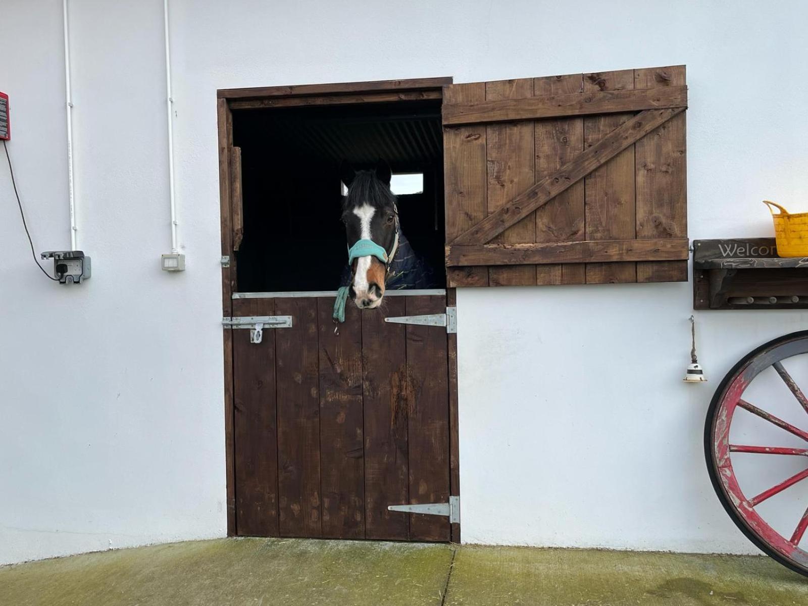 Toddys Hideaway Apartment Cavan Bagian luar foto